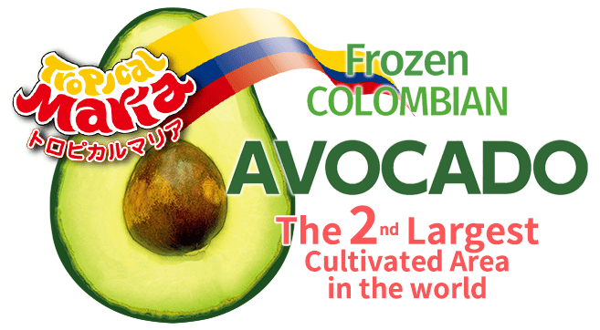 Colombian Avocado