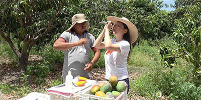 産地とのつながり